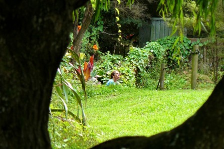 A great Meditation spot on the property
敷地内にこんな素晴らしい瞑想のできるところが。
